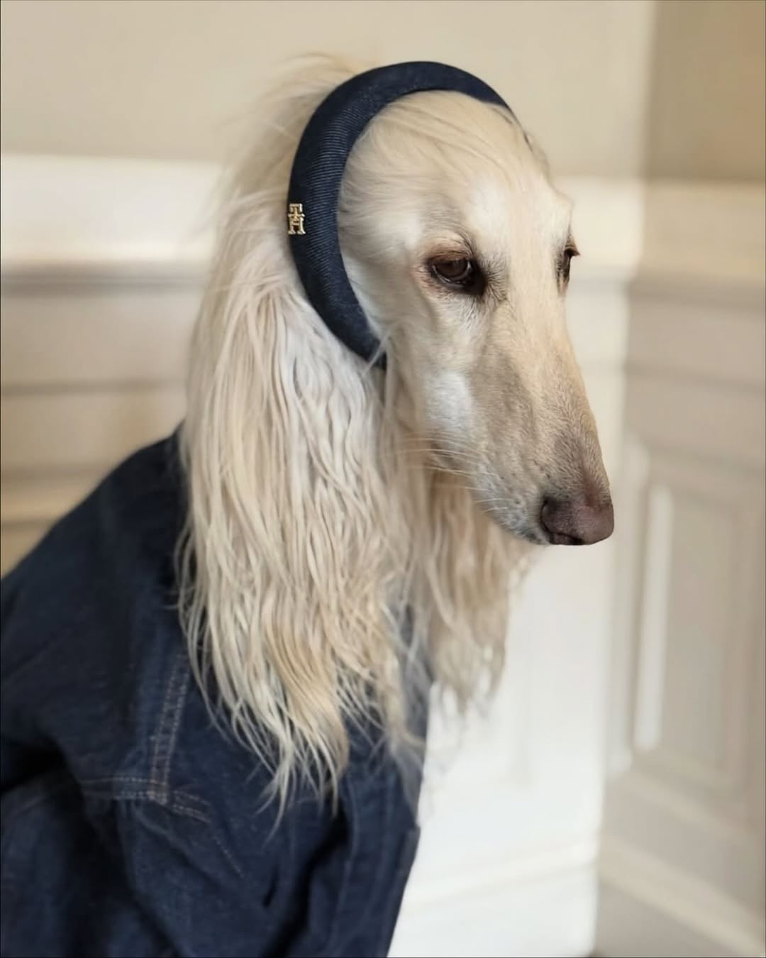 Samantha có khả năng đứng yên và tạo những biểu cảm lạnh lùng rất chuyên nghiệp, tạo nên những khung hình đậm chất tạp chí Vogue.