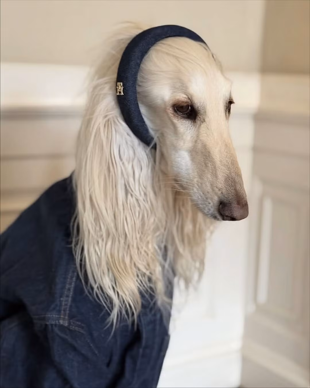 Samantha có khả năng đứng yên và tạo những biểu cảm lạnh lùng rất chuyên nghiệp, tạo nên những khung hình đậm chất tạp chí Vogue.