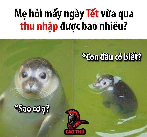"Tết vừa rồi thu nhập được bao nhiêu con?". Một câu hỏi mang tính sát thương cực cao từ phụ huynh khiến hội con cháu chỉ biết ngơ ngác. Tiền lì xì đi đâu? Chỉ có trời mới biết, đất mới biết và... cái ví rỗng mới biết. (Ảnh: Cao Thủ)
