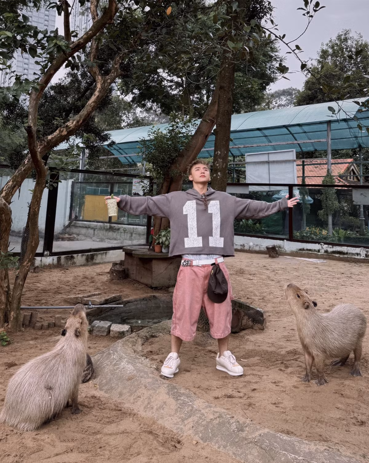 Anh còn được nhìn thấy đang cho chúng ăn lá, chụp nhiều khoảnh khắc vui đùa cùng loài vật này, thậm chí đứng tạo dáng ngay giữa khu vực chuồng. (Ảnh: FBNV)