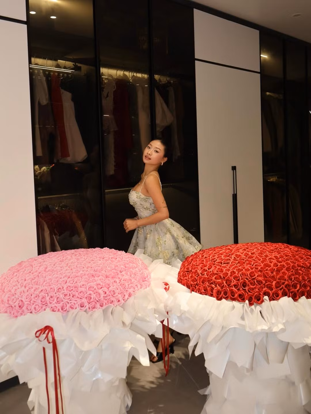 Louis Phạm tên thật là Phạm Như Phương. Cô từng là vận động viên thể dục dụng cụ từng giành nhiều thành tích lớn. Sau khi giải nghệ tuổi 20 vào đầu 2024, cô chuyển hướng làm TikToker, nổi tiếng với phong cách quyến rũ nhưng cũng vướng nhiều drama đời tư.