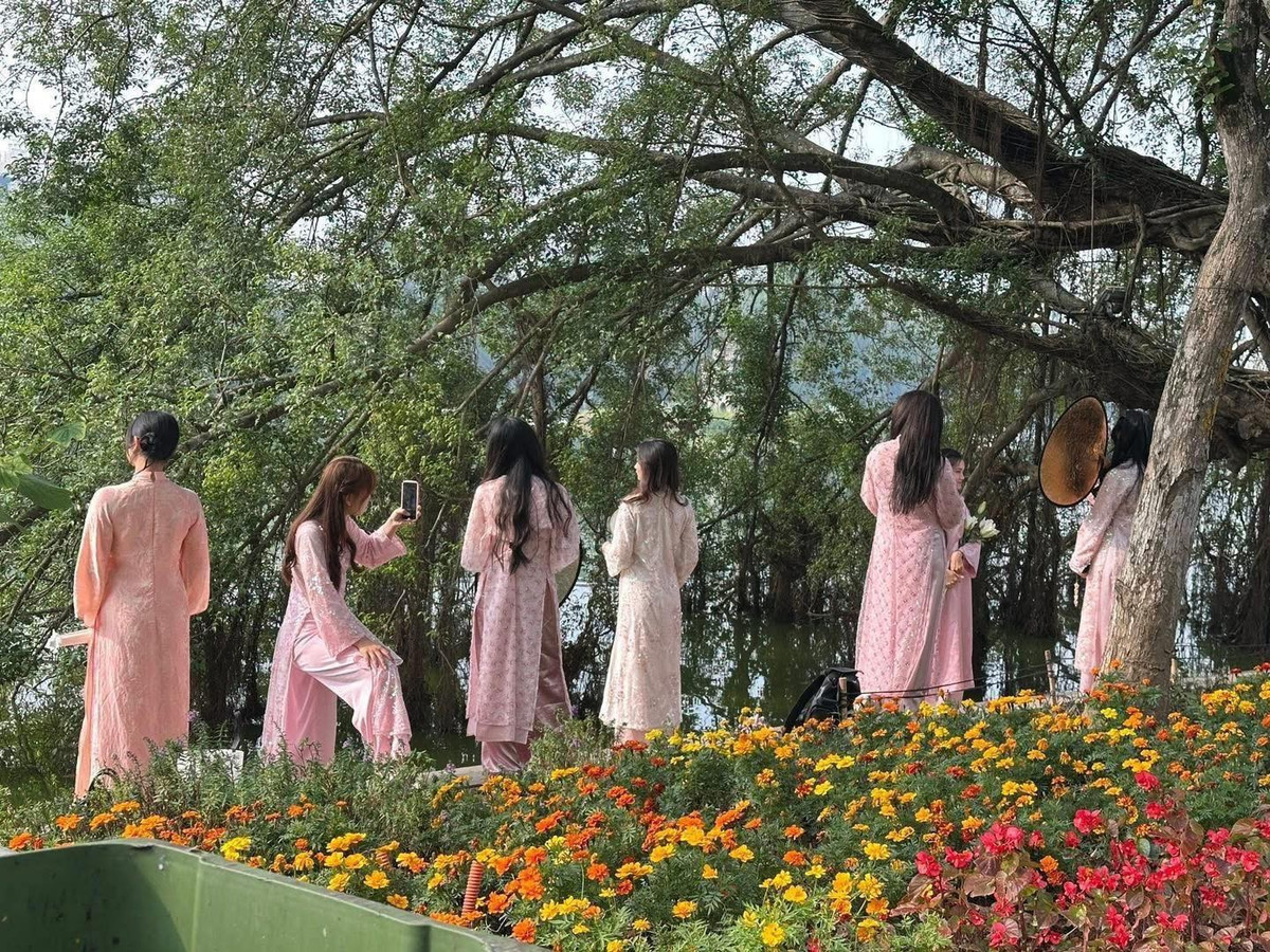 Cứ mỗi độ Tết đến Xuân về, khi những cơn gió lạnh của mùa đông Hà Nội bắt đầu dịu đi, nhường chỗ cho tia nắng ấm áp, khu vực bờ hồ Hoàn Kiếm lại khoác lên mình một diện mạo rực rỡ và đầy sức sống.