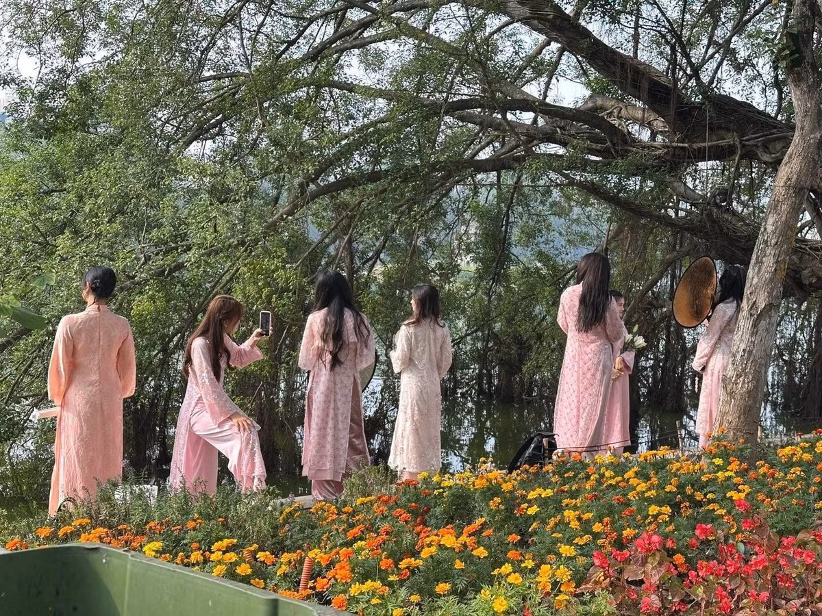 Cứ mỗi độ Tết đến Xuân về, khi những cơn gió lạnh của mùa đông Hà Nội bắt đầu dịu đi, nhường chỗ cho tia nắng ấm áp, khu vực bờ hồ Hoàn Kiếm lại khoác lên mình một diện mạo rực rỡ và đầy sức sống.