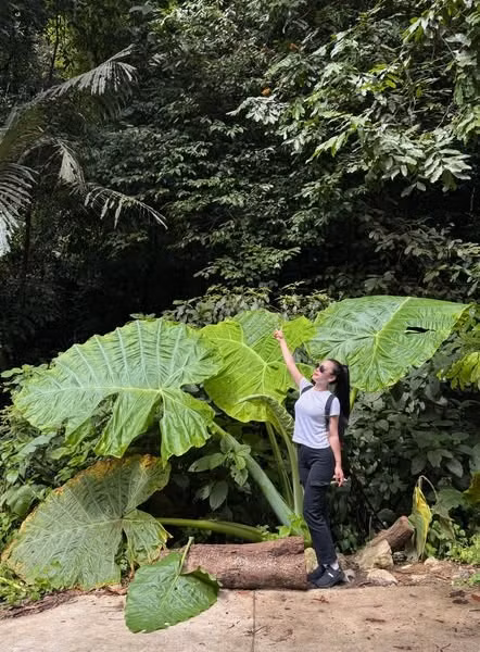 Du khách từ khắp nơi đổ về Cúc Phương để trải nghiệm cảm giác trở thành "người tí hon" giữa thiên nhiên hoang sơ. (Ảnh: Linhh Lala)