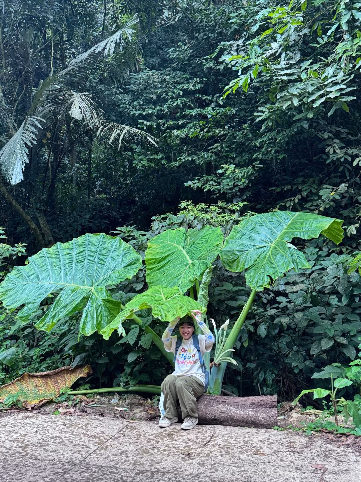 Không ít du khách còn sáng tạo ra những concept chụp ảnh độc đáo, từ việc cosplay thành các nhân vật manga đến tạo dáng như đang khám phá một hành tinh lạ. Hiệu ứng thị giác tuyệt vời này biến mỗi bức ảnh thành một câu chuyện riêng, khiến người xem có cảm giác như đang chiêm ngưỡng những trang truyện tranh sống động. (Ảnh: @toilabonghoa)