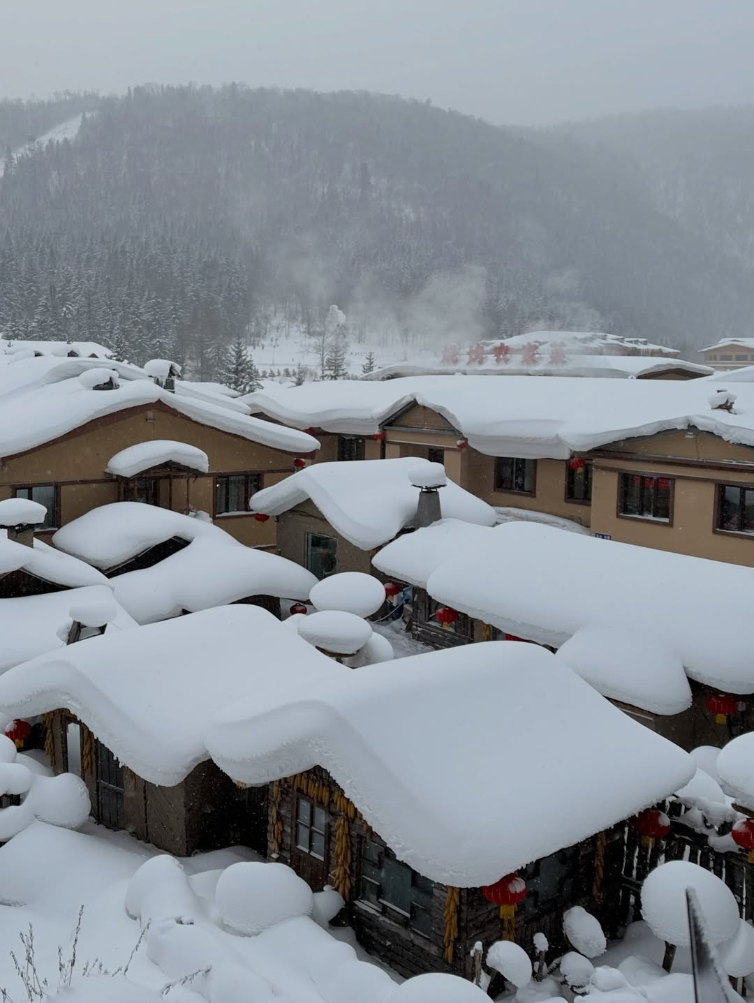 Đến làng Tuyết Hương, Salim và những người bạn của mình không chỉ để ngắm cảnh mà còn để trải nghiệm cái lạnh "cắt da cắt thịt" lên tới -30 độ C, chơi trò hắt nước sôi thành băng hay đi xe trượt tuyết do chó kéo. (Ảnh: IGNV)