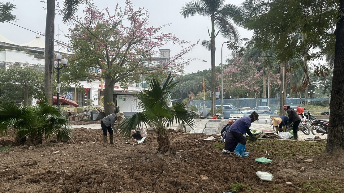 Công viên Võ Thị Sáu, dự kiến khánh thành vào ngày 7/1/2026 , công trình góp phần tạo không gian sống xanh, hiện đại, đáp ứng nhu cầu người dân quanh khu vực.