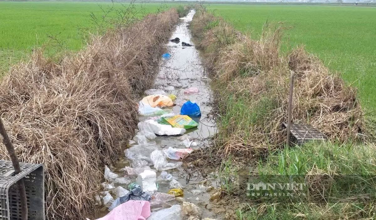 Rác thải ngập kênh mương tưới tiêu tại thôn Lũ Phong, xã Vũ Dương. Ảnh: Vũ Thượng