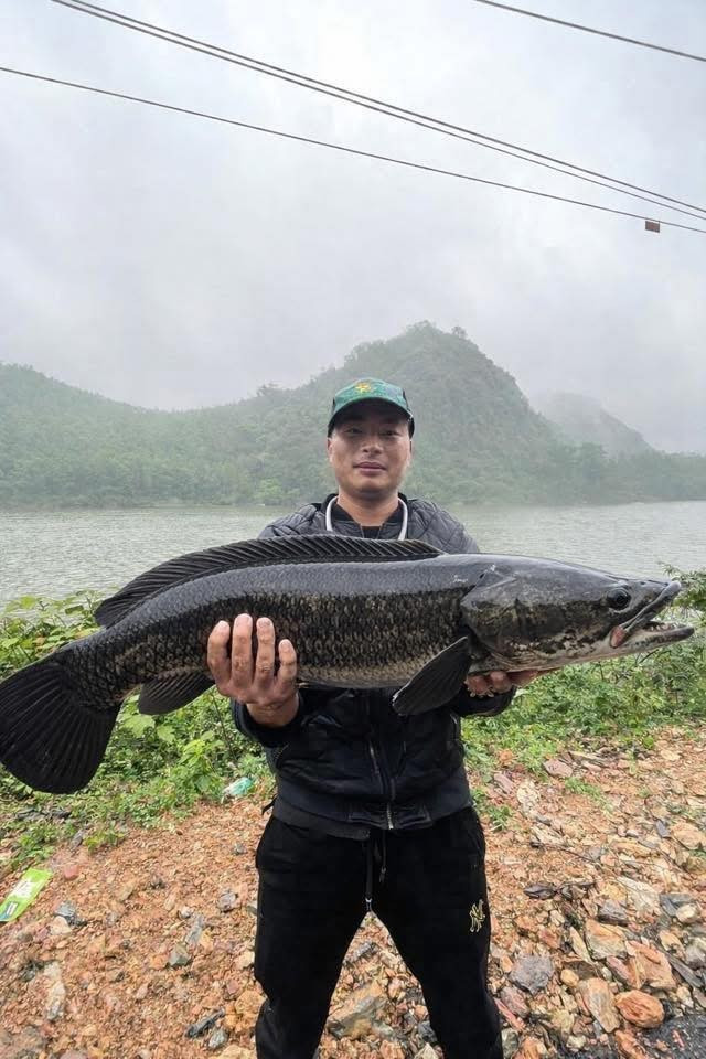 Nhiều người còn cực kỳ nhiệt tình và có tâm khi photoshop cho anh chàng những dòng cá quý khác mà nhìn vào "cần thủ" nào cũng phải xuýt xoa.