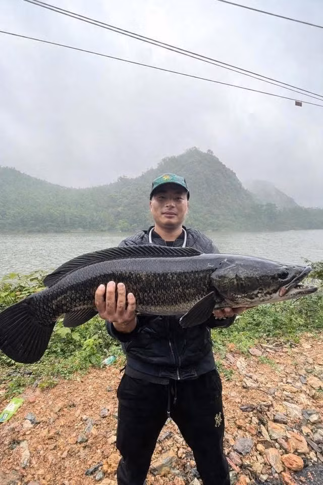 Nhiều người còn cực kỳ nhiệt tình và có tâm khi photoshop cho anh chàng những dòng cá quý khác mà nhìn vào "cần thủ" nào cũng phải xuýt xoa.