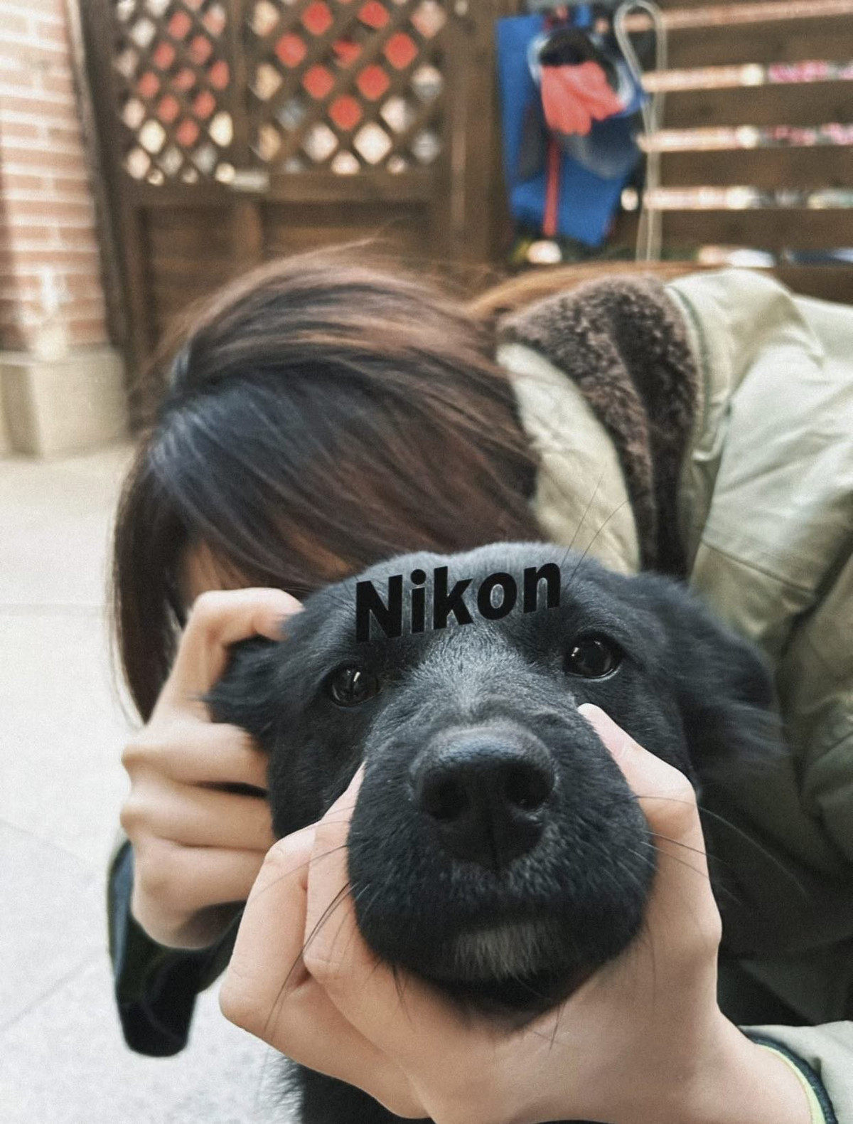 Với ý tưởng đơn giản nhưng không kém phần hài hước, những bức ảnh này ngay lập tức thu hút sự chú ý và lan truyền mạnh mẽ. (Ảnh: IGNV)