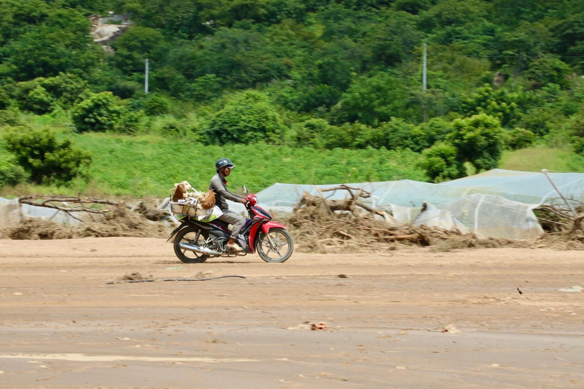 Người dân đi từng nhà để nhận lại dê của mình bị nước cuốn trôi hoặc lạc sang khu vực khác.