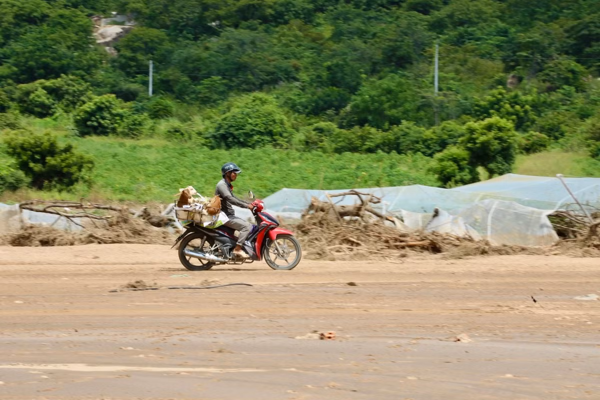 Người dân đi từng nhà để nhận lại dê của mình bị nước cuốn trôi hoặc lạc sang khu vực khác.