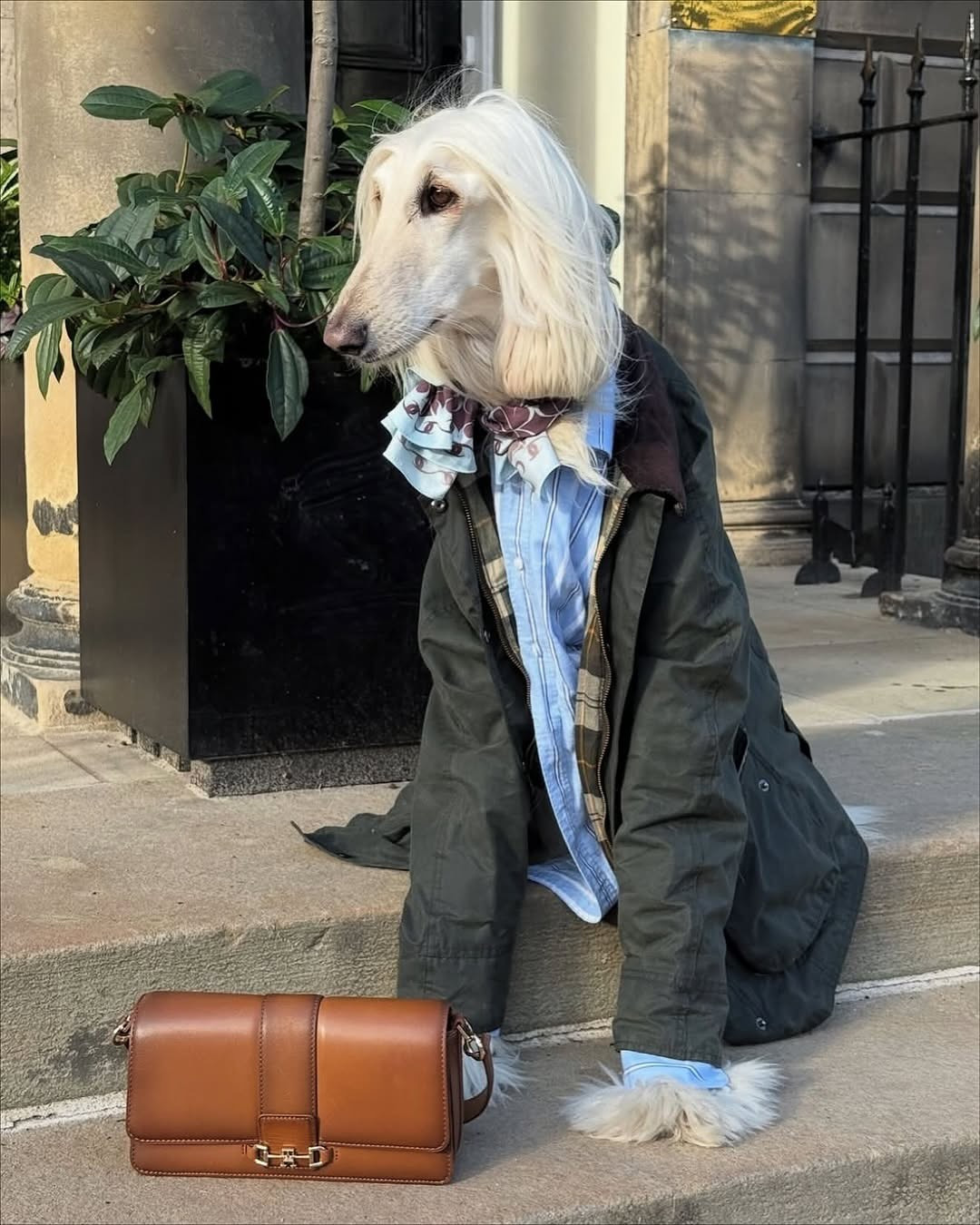 Sức ảnh hưởng của Samantha đã vượt ra khỏi biên giới mạng xã hội. Với phong cách quý tộc đặc trưng, "cô nàng" đã nhận được lời mời hợp tác từ các thương hiệu hàng đầu thế giới như Jimmy Choo, Tommy Hilfiger và Harrods.