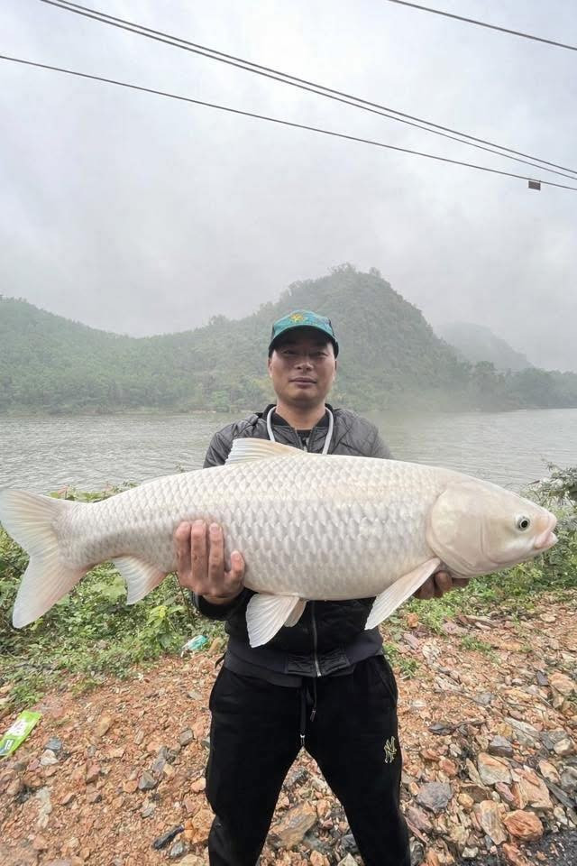 Đúng là "cầu được ước thấy", các cao thủ photoshop đã ra tay rất nhiệt tình. Tuy nhiên, thay vì chỉ đổi màu vảy hay chỉnh lại hình dáng con cá cho giống cá trắm, cộng đồng mạng đã đưa anh đi chu du qua đủ mọi cung bậc cảm xúc.