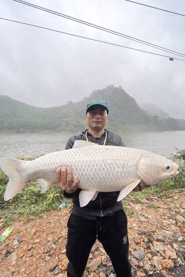 Đúng là "cầu được ước thấy", các cao thủ photoshop đã ra tay rất nhiệt tình. Tuy nhiên, thay vì chỉ đổi màu vảy hay chỉnh lại hình dáng con cá cho giống cá trắm, cộng đồng mạng đã đưa anh đi chu du qua đủ mọi cung bậc cảm xúc.