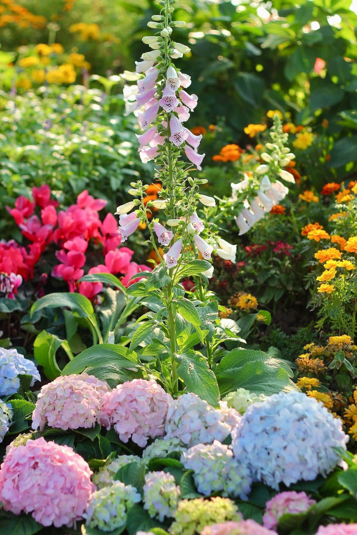 Đặc biệt, trong tiết trời hửng nắng nhẹ của những ngày giáp Tết, rất nhiều cô nàng đã tranh thủ diện những bộ áo dài truyền thống hay cách tân duyên dáng để thực hiện bộ ảnh Tết. Sắc áo dài thướt tha hòa cùng màu hoa rực rỡ tạo nên một khung cảnh đậm chất xuân, vừa hiện đại vừa mang nét hoài cổ của Hà Nội xưa. (Ảnh: Tr V Chung/Group Check in Vietnam)