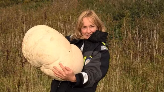 Thấy tảng đá màu trắng trên đường, cô gái lại gần mới biết mình nhặt được của lạ - Ảnh 2.