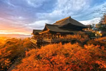 Du khách Việt nô nức mua tour xuất ngoại ngắm lá đổi màu