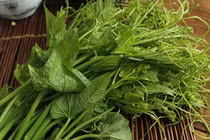 Rau bí ngô bỗng đắt hàng nhờ giá bình dân