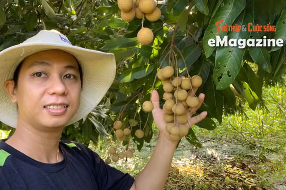 [e-Magazine] Kỹ sư Bách khoa Phạm Trường Sanh khởi nghiệp từ vườn nhãn