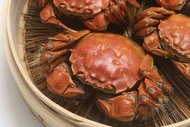 Cua lông Trung Quốc giá rẻ, bác sĩ lưu ý bộ phận không nên ăn