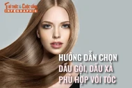 [INFOGRAPHIC] Hướng dẫn chọn dầu gội, dầu xả phù hợp với tóc