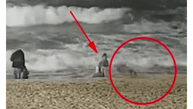 Video: Bị sói dữ tấn công, bé gái tự vật lộn cứu mình và cái kết Video: Bi soi du tan cong, be gai tu vat lon cuu minh va cai ket