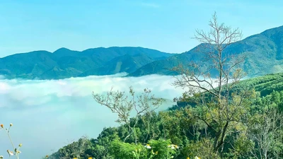 Cty Ibon trúng gói thầu xây lắp gần 2 tỷ đồng