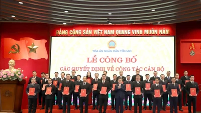 Bổ nhiệm nhân sự chủ chốt các TAND trong mô hình mới