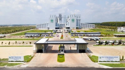 C.P. hụt thu gần 6.000 tỷ đồng tại Việt Nam sau lùm xùm heo bệnh