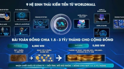 Chiêu trò khiến hàng nghìn người sập bẫy đầu tư đồng tiền ảo 'WM'