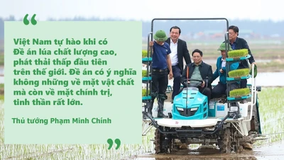 Việt Nam vươn mình thành cường quốc xuất khẩu gạo sau 80 năm phát triển