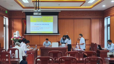 Mỏ cát trúng đấu giá 138 tỉ, gấp gần 77 lần giá khởi điểm