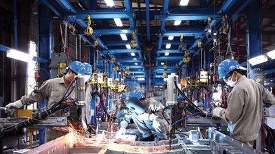 Gần một nửa số doanh nghiệp tư nhân thua lỗ hàng năm
