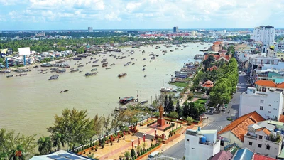 Cần Thơ: Một doanh nghiệp trúng 2 gói thầu chỉ trong 1 ngày
