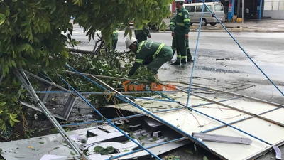 Cây xanh đổ gây thiệt hại về tài sản.