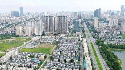 Bất động sản mua từ 20 năm trước, áp thuế 20% lãi chuyển nhượng là bất hợp lý