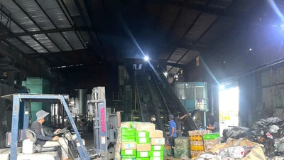 Tiêu hủy 30 tấn thực phẩm đông lạnh nhiễm bẩn ở Đồng Nai