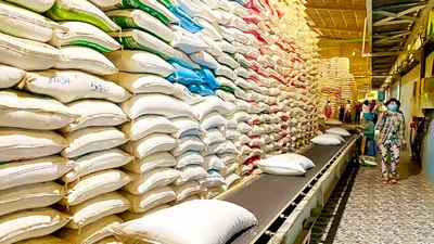 Nỗ lực mở rộng thị trường xuất khẩu gạo