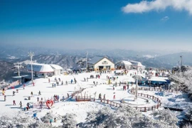 Gợi ý 10 điểm trượt tuyết quanh Seoul khiến du khách mê mẩn trong mùa đông 