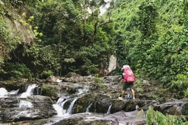 5 điểm trekking đẹp ngất ngây ở Đà Nẵng, đi một lần là mê