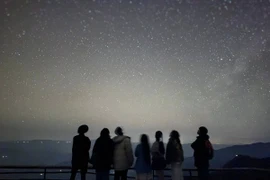 Hành trình "săn sao" trên đỉnh Tà Xùa dành cho dân phượt