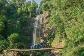 Thác Liêng Ài điểm đến lý tưởng cho du khách yêu khám phá