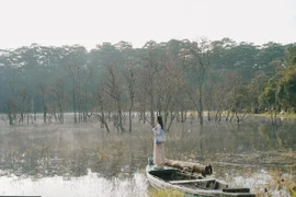 Đến Suối Tía săn sương sớm, đắm mình trong không gian huyền ảo