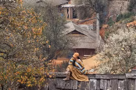 Sơn tra nở trắng Nậm Nghiệp, hút dân mê xê dịch lên vùng cao săn hoa