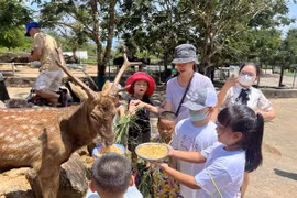 Du lịch hè cùng con, 5 điểm đến đẹp, mát, dễ đi