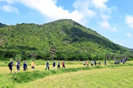 Du lịch núi Cấm mùa mưa, băng rừng, tắm suối, hít hà thiên nhiên