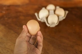  Cách nhận biết trứng đã hỏng chỉ trong vài giây
