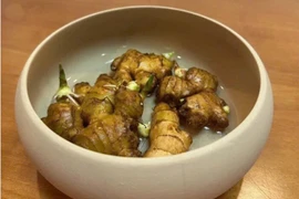 3 lỗi phổ biến khiến gừng bonsai thối sau vài ngày